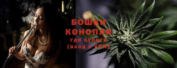 прущие грибы Апатиты