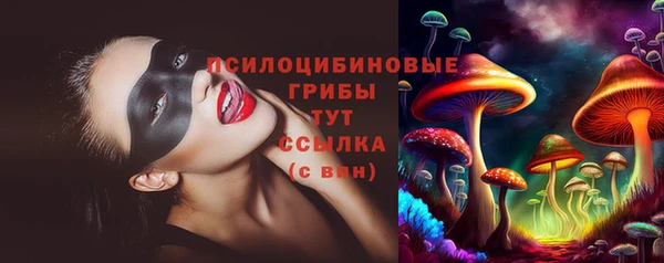 apvp Михайловка