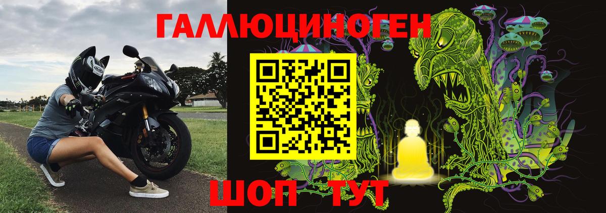 Кисловодск  Галлюциногенные грибы прущие грибы  Вход с VPN  Псилоцибиновые грибы GOLDEN TEACHER 